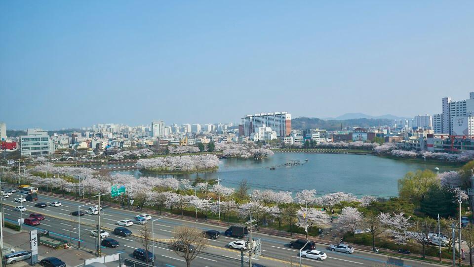 전경