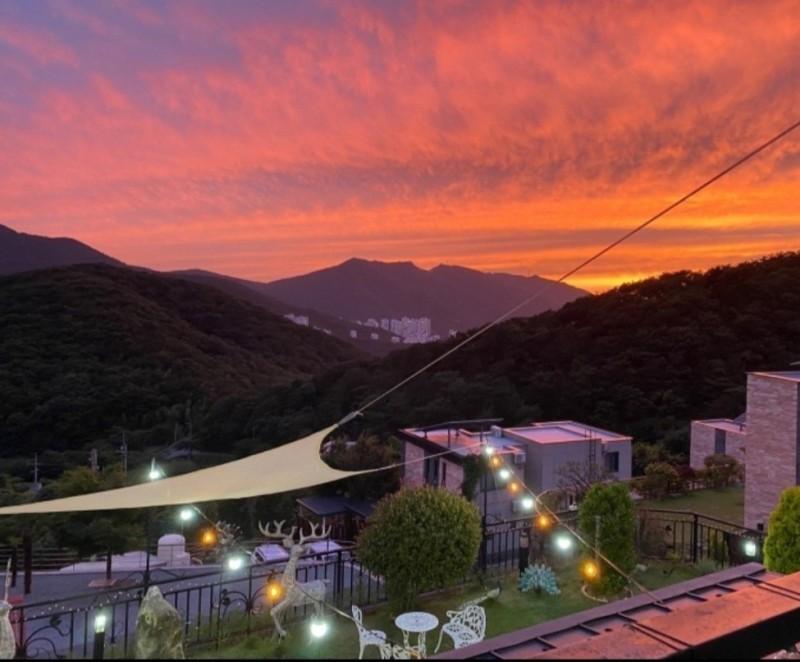 대표 사진