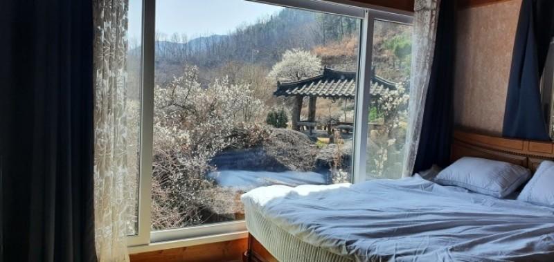 대표 사진
