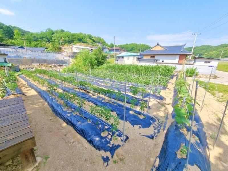 숙소 시설