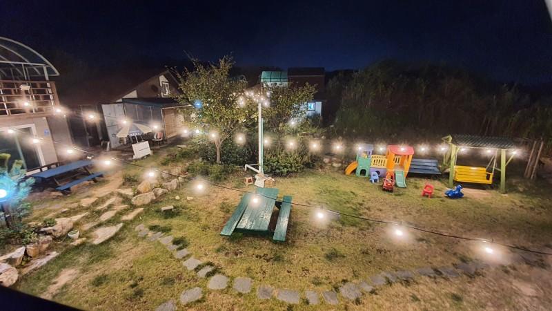 대표 사진