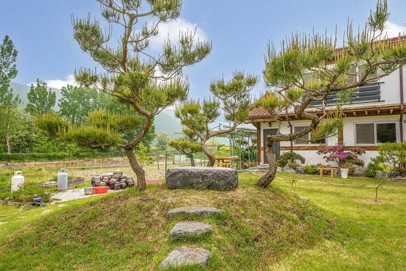 대표 사진