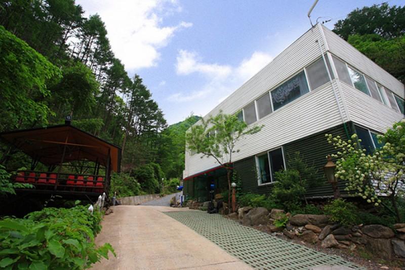 대표 사진
