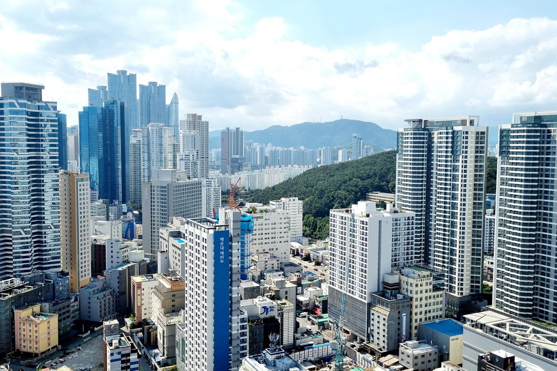 대표 사진