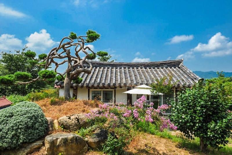 대표 사진