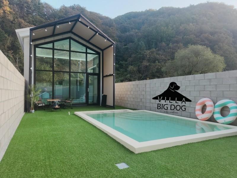 대표 사진