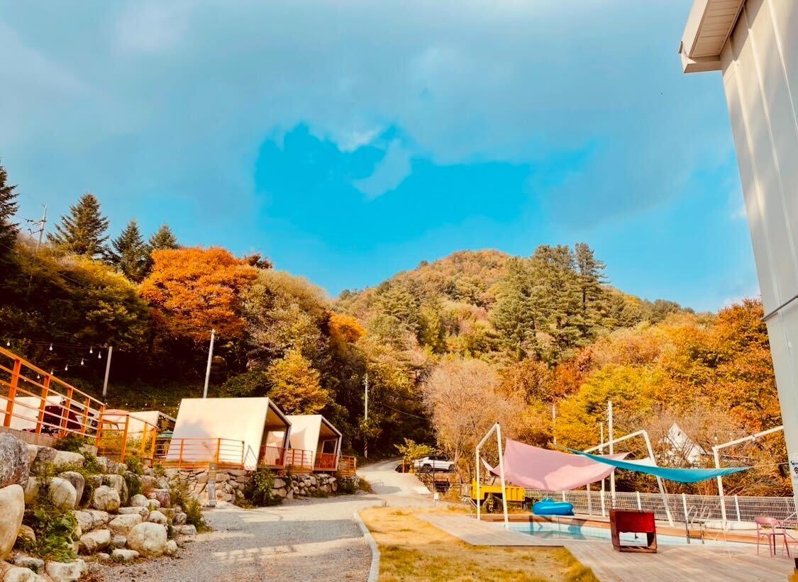 대표 사진