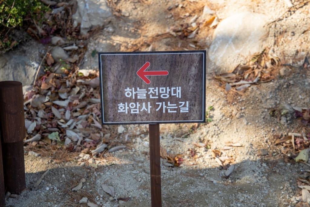 대표 사진