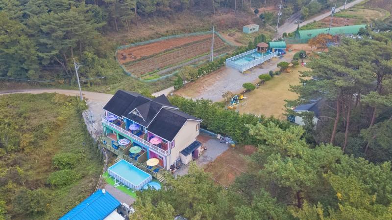 대표 사진