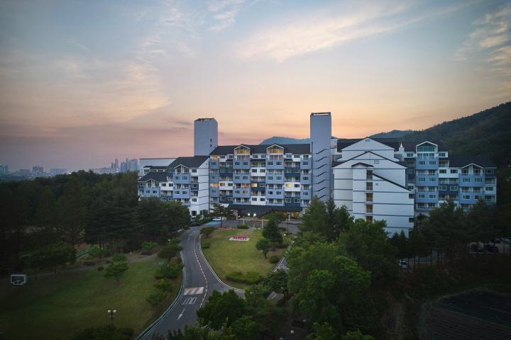 대표 사진