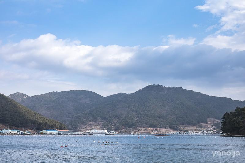 대표 사진