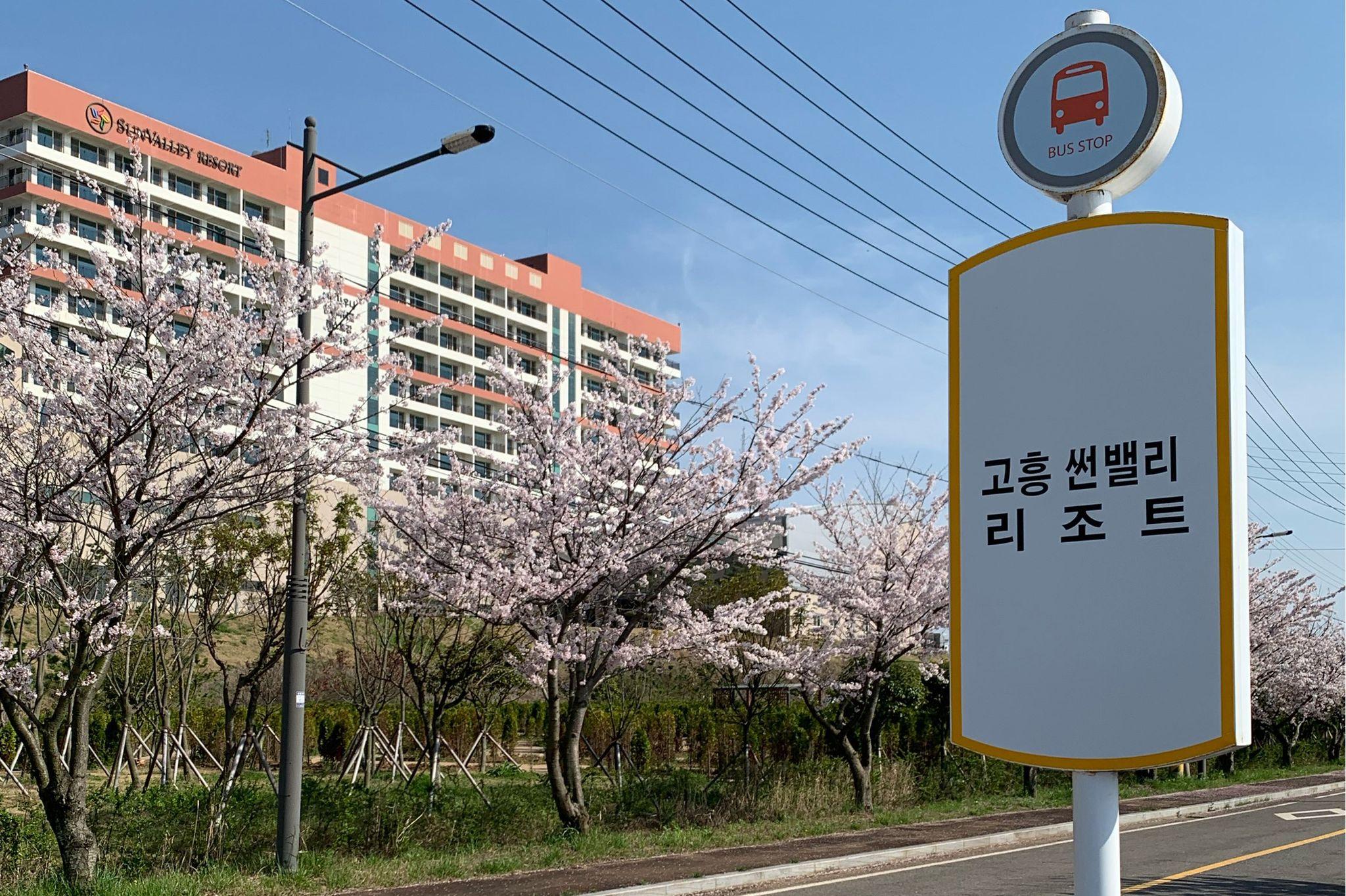 Goheung Sun Valley Resort