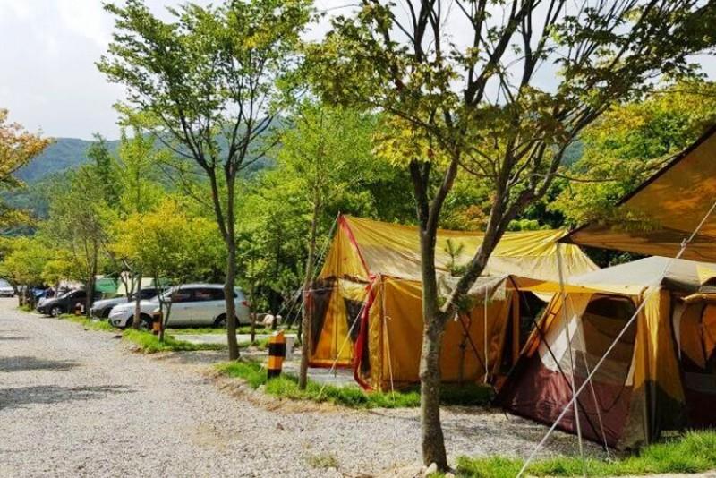 Muju Sumogwon Camping