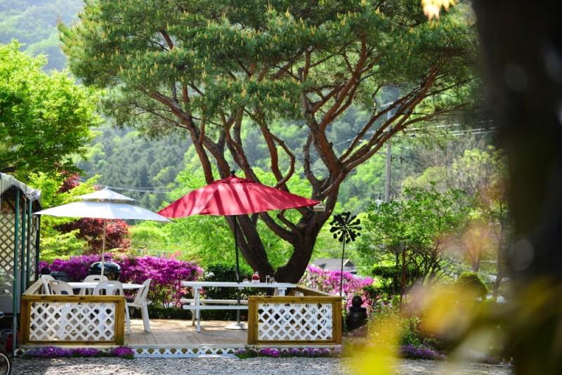 Gapyeong Flower Muji Pension (near the valley)-37