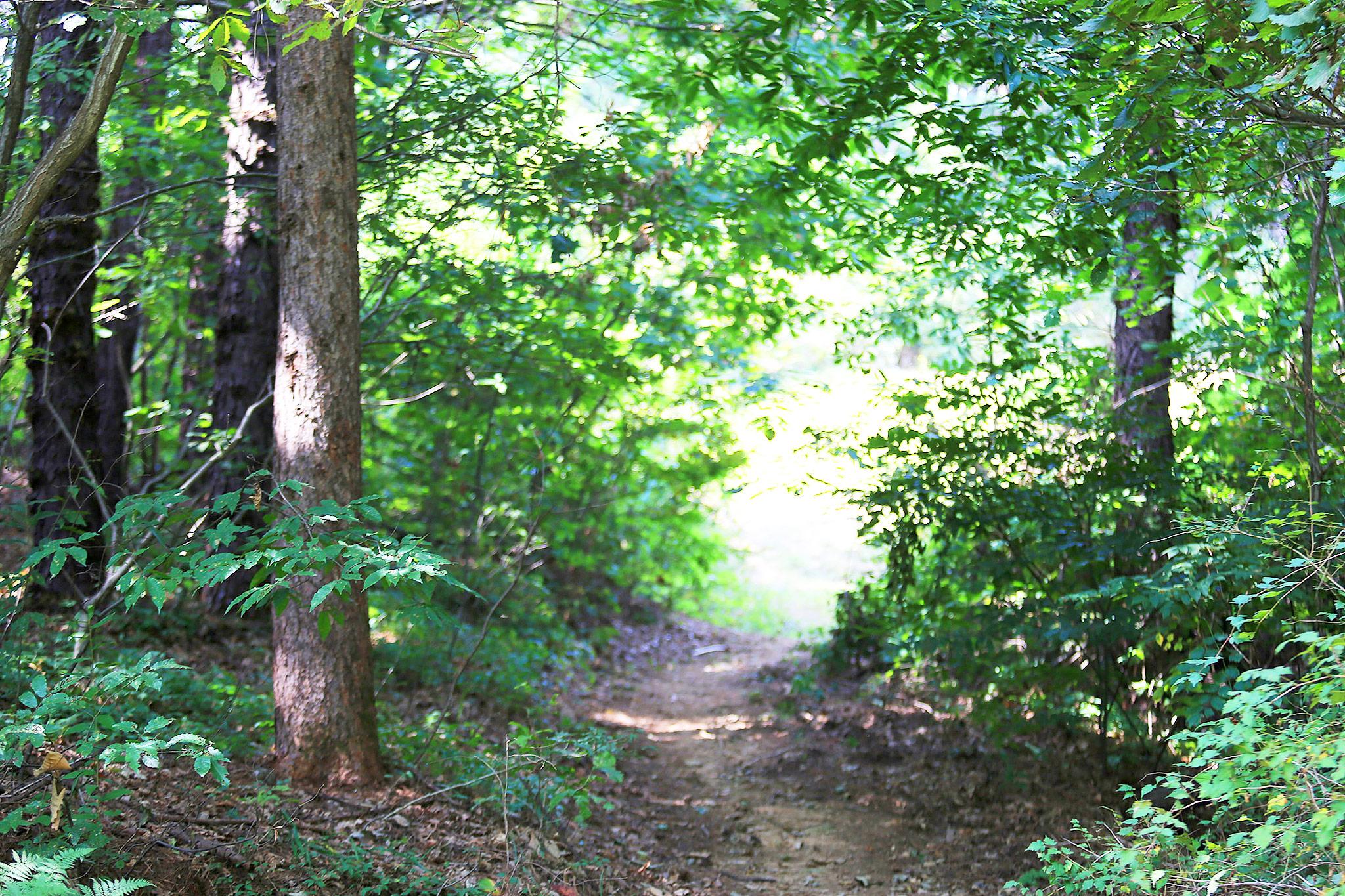 Pocheon Hill House-31