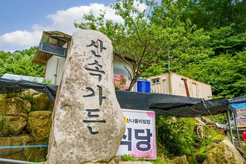 대표 사진