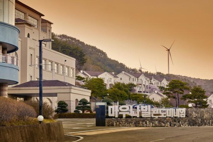 대표 사진
