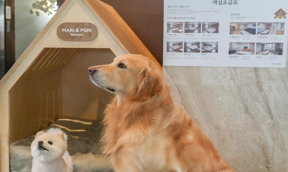 Stella Maris Hotel Incheon-14