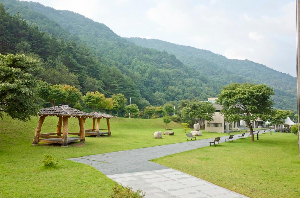 대표 사진