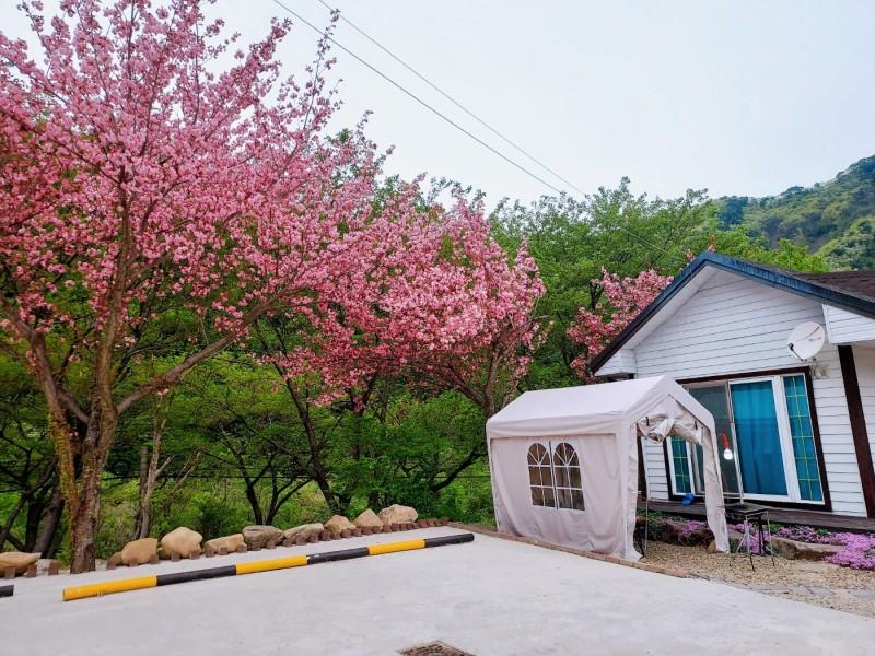 대표 사진