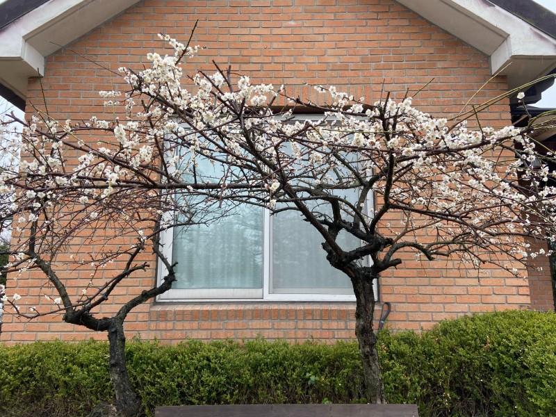 숙소 시설