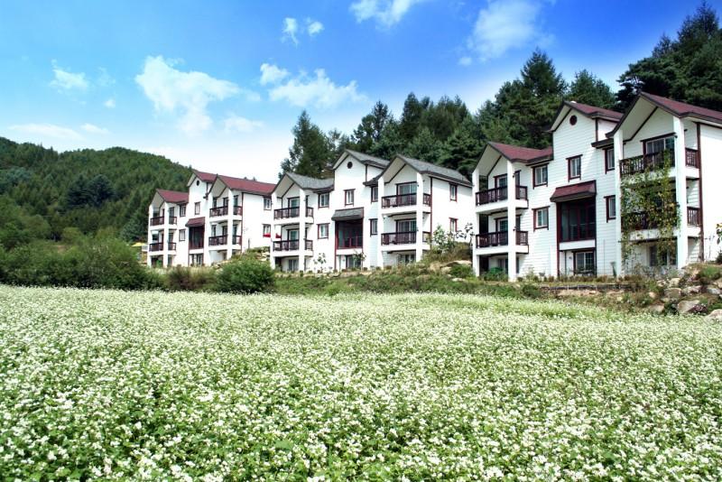 Pyeongchang Haedlmok Pension