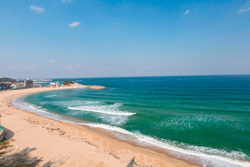 대표 사진