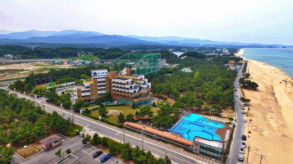 대표 사진