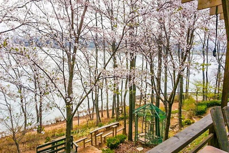 Ganghwado Ye Flow Pension-16