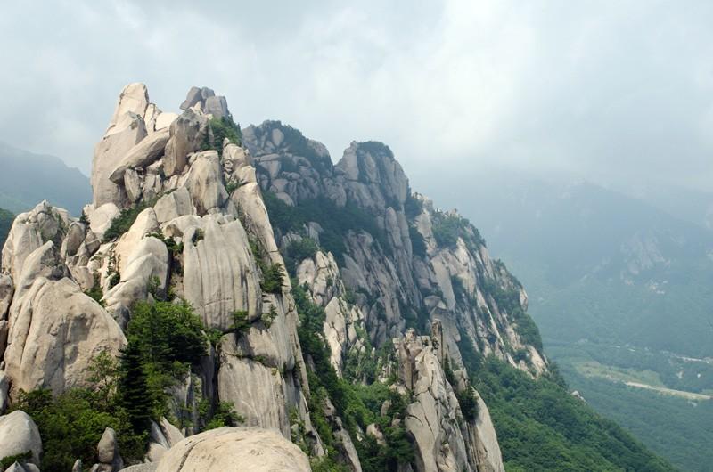 대표 사진