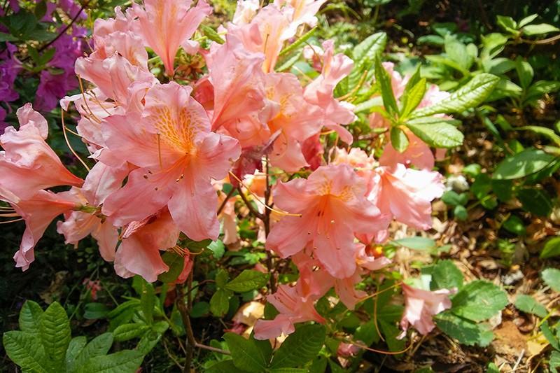 Yongin Byeolbaragi Pension-37