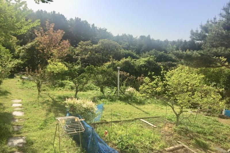 숙소 시설