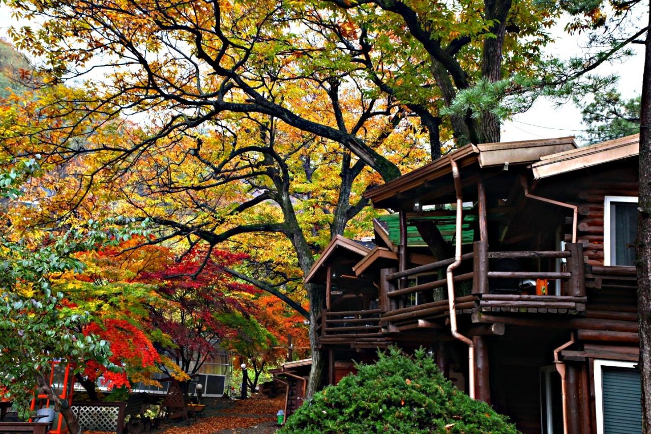 Gapyeong Belita Spa Pension