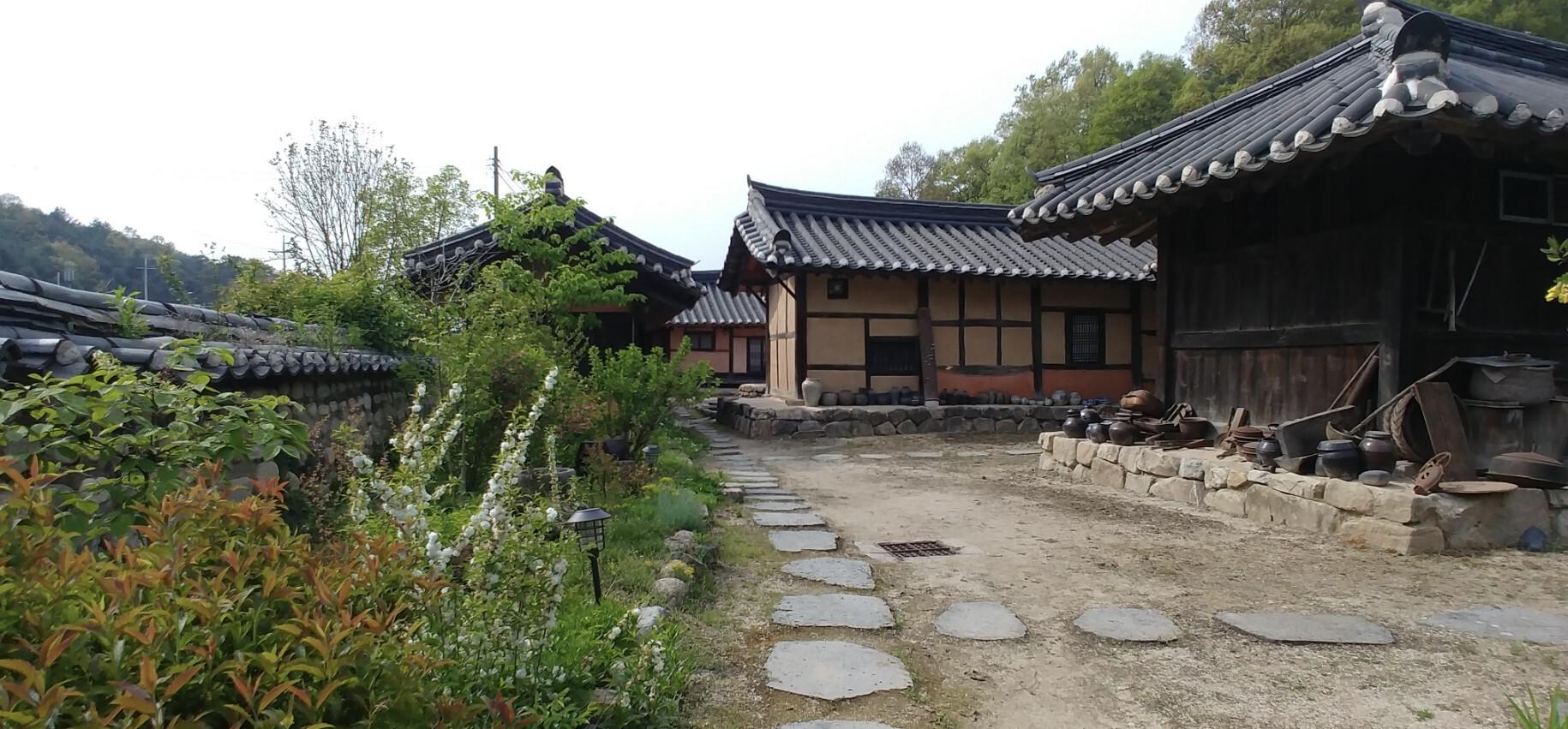 Chungju Real flowers and Taeknadeuli Pension-4