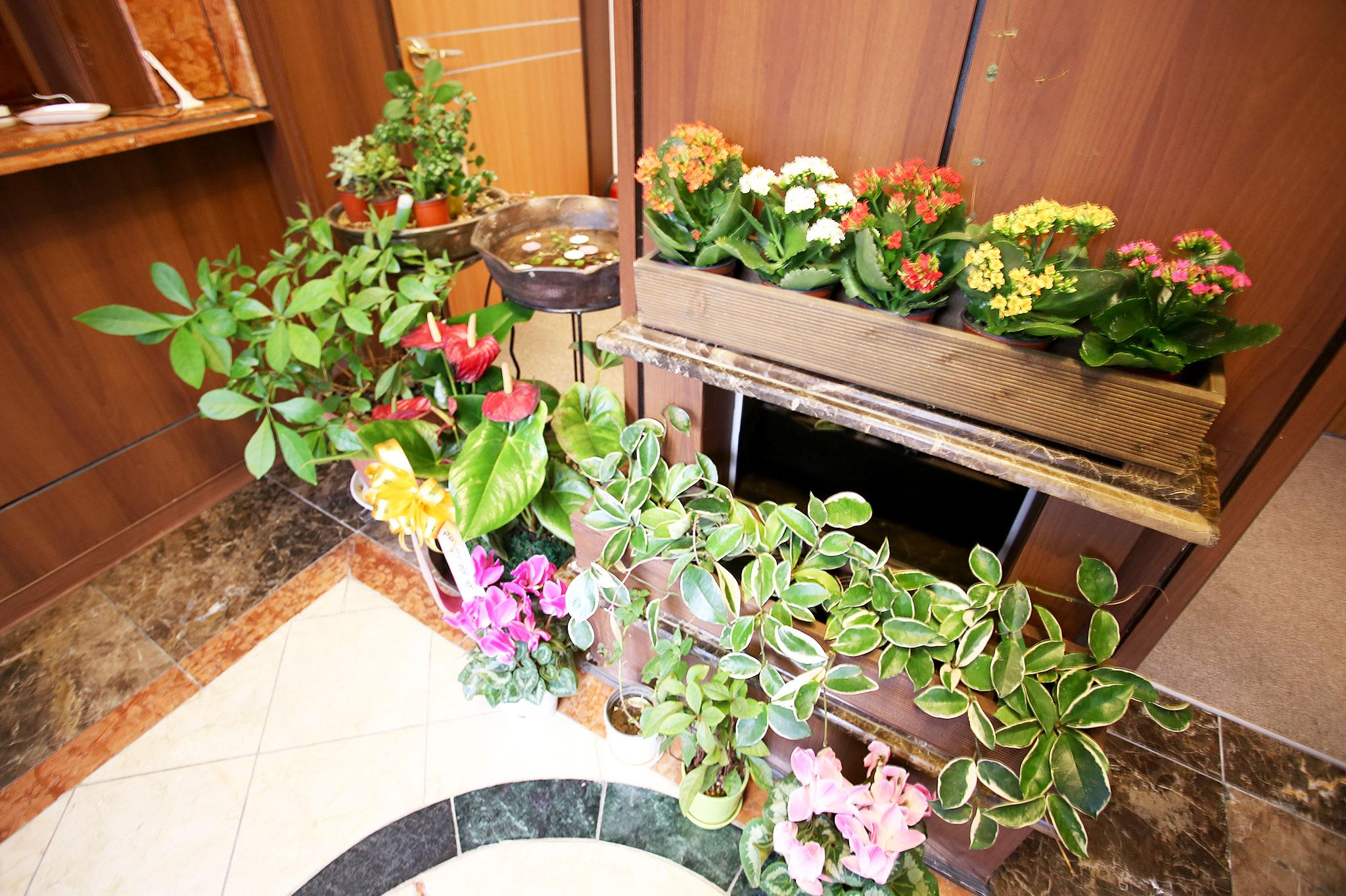 Cheongpyeong Paradise-4