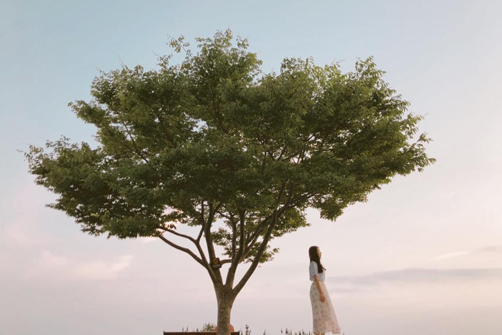 기타
