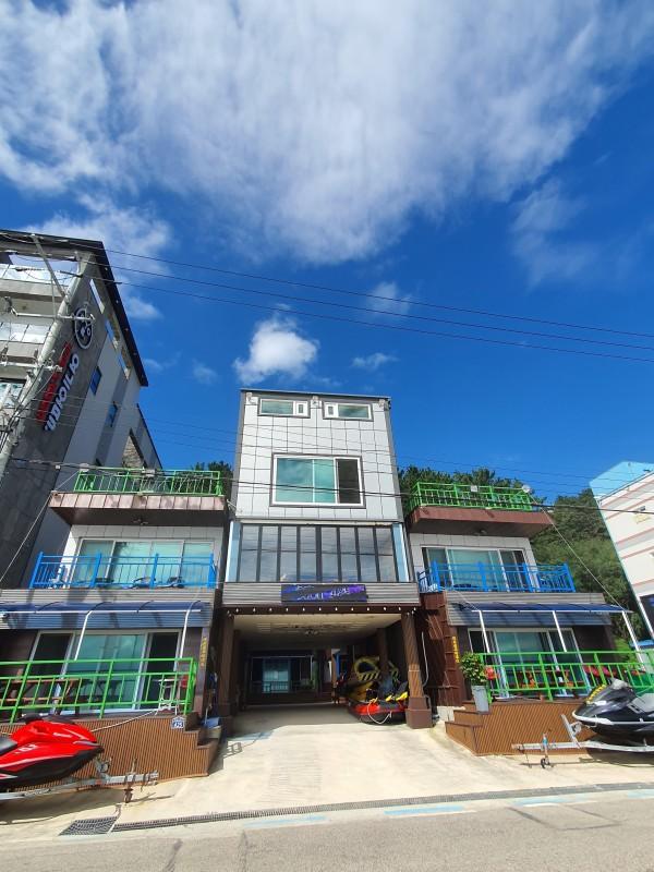 대표 사진