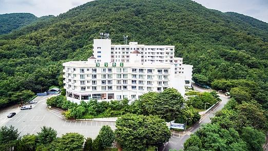 대표 사진