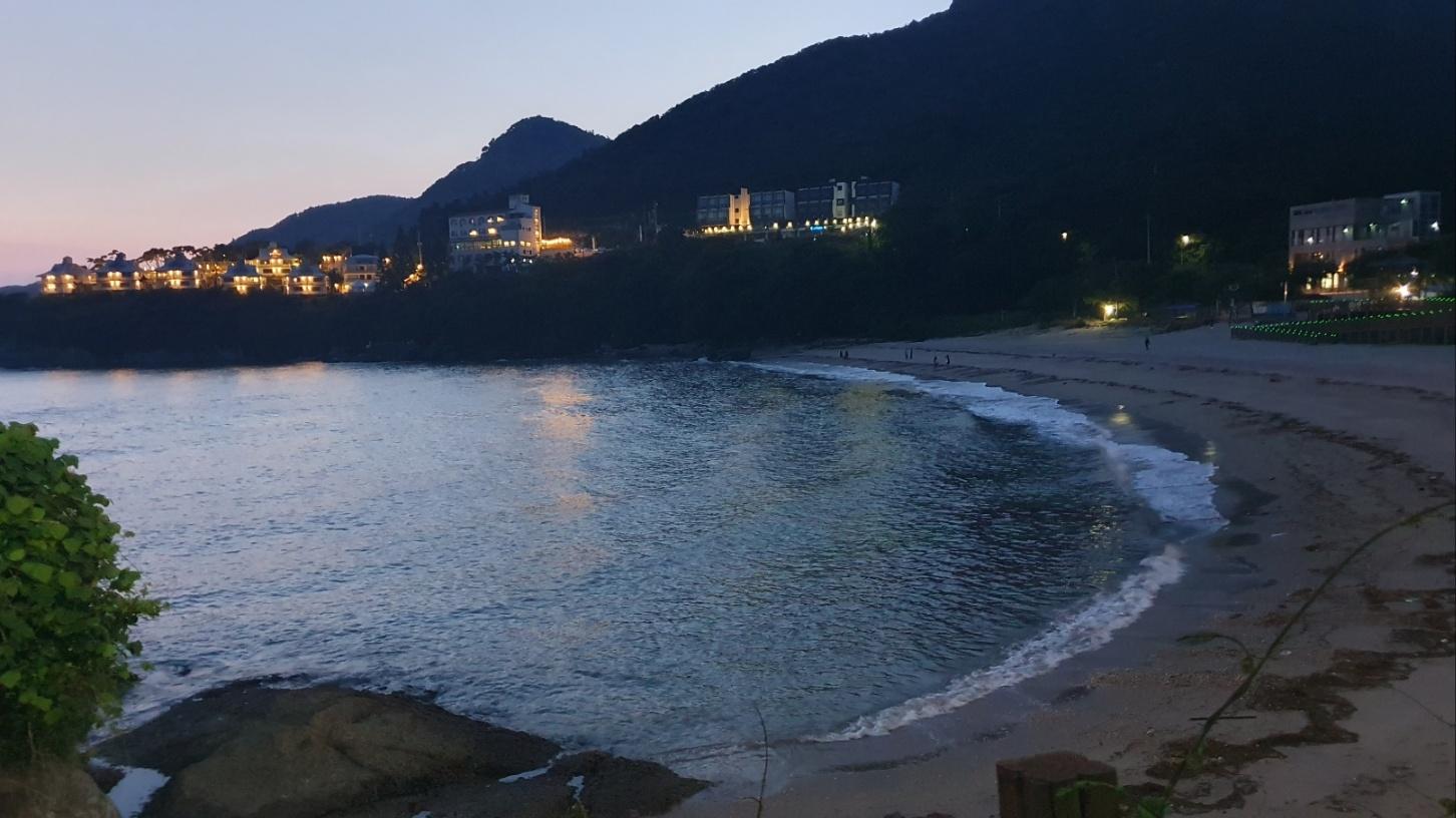 대표 사진