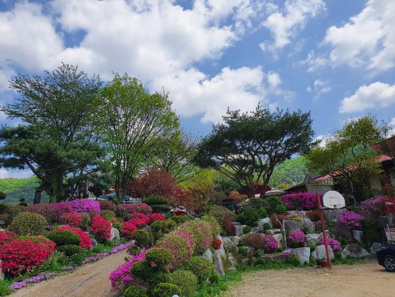 Gapyeong Flower Muji Pension (near the valley)-39
