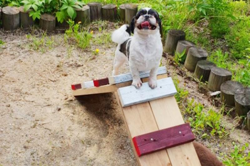 Pocheon Sanulrim Pension-53