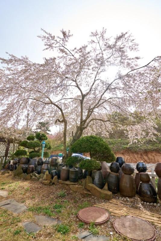 숙소 시설