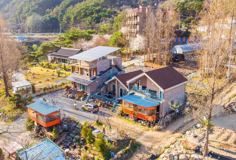 대표 사진