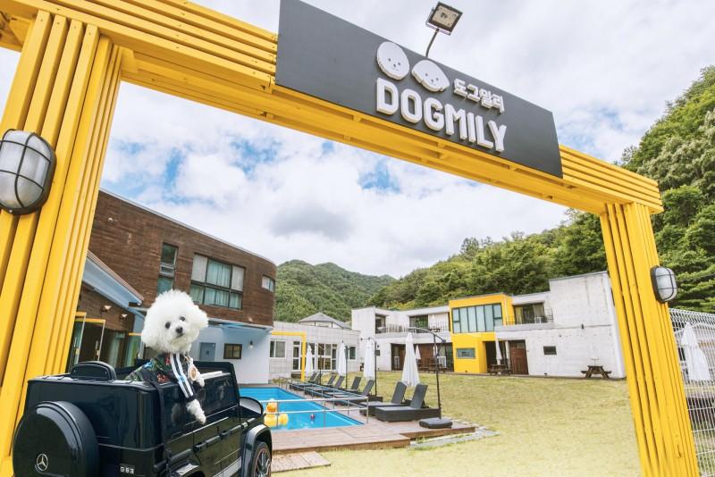 Pyeongchang Dogmill Pension