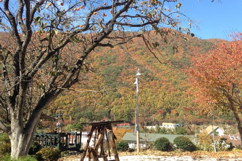 숙소 시설