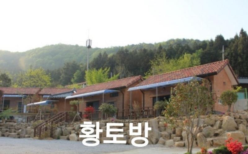 대표 사진