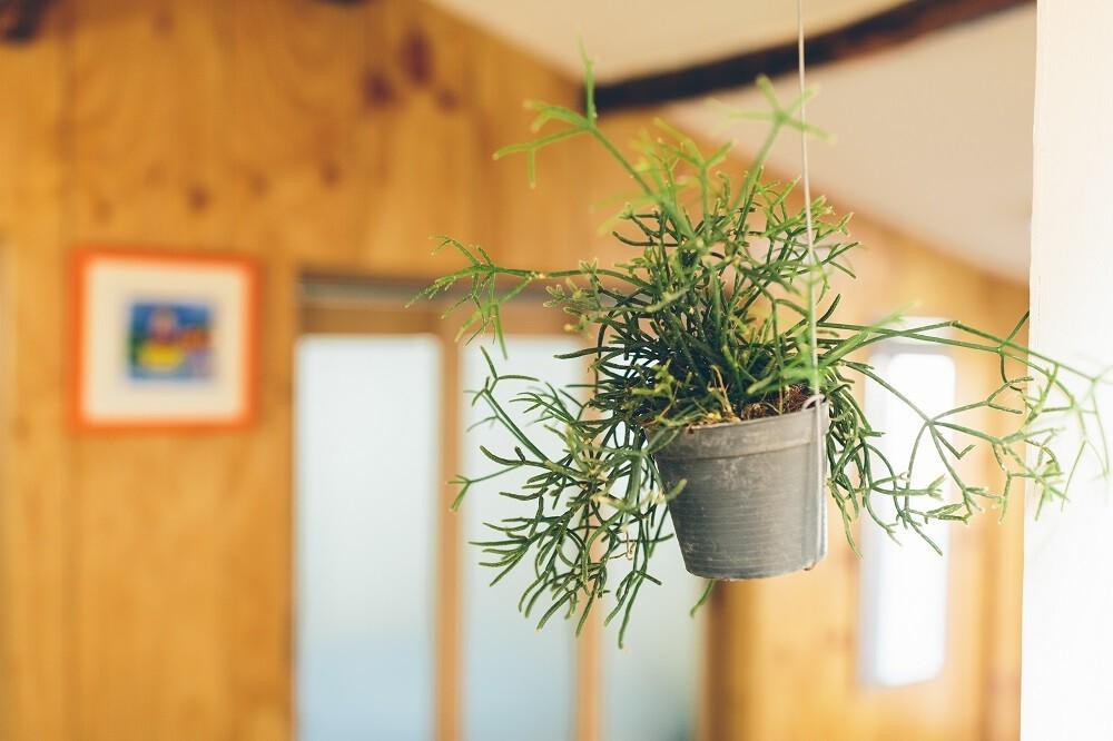 Jeju Weoljeong Cottage Pension-4