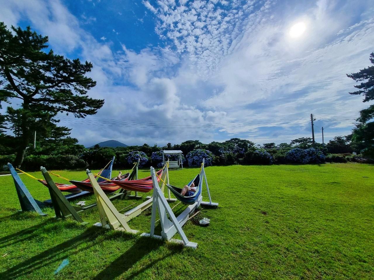 Jeju Oreum Guesthouse