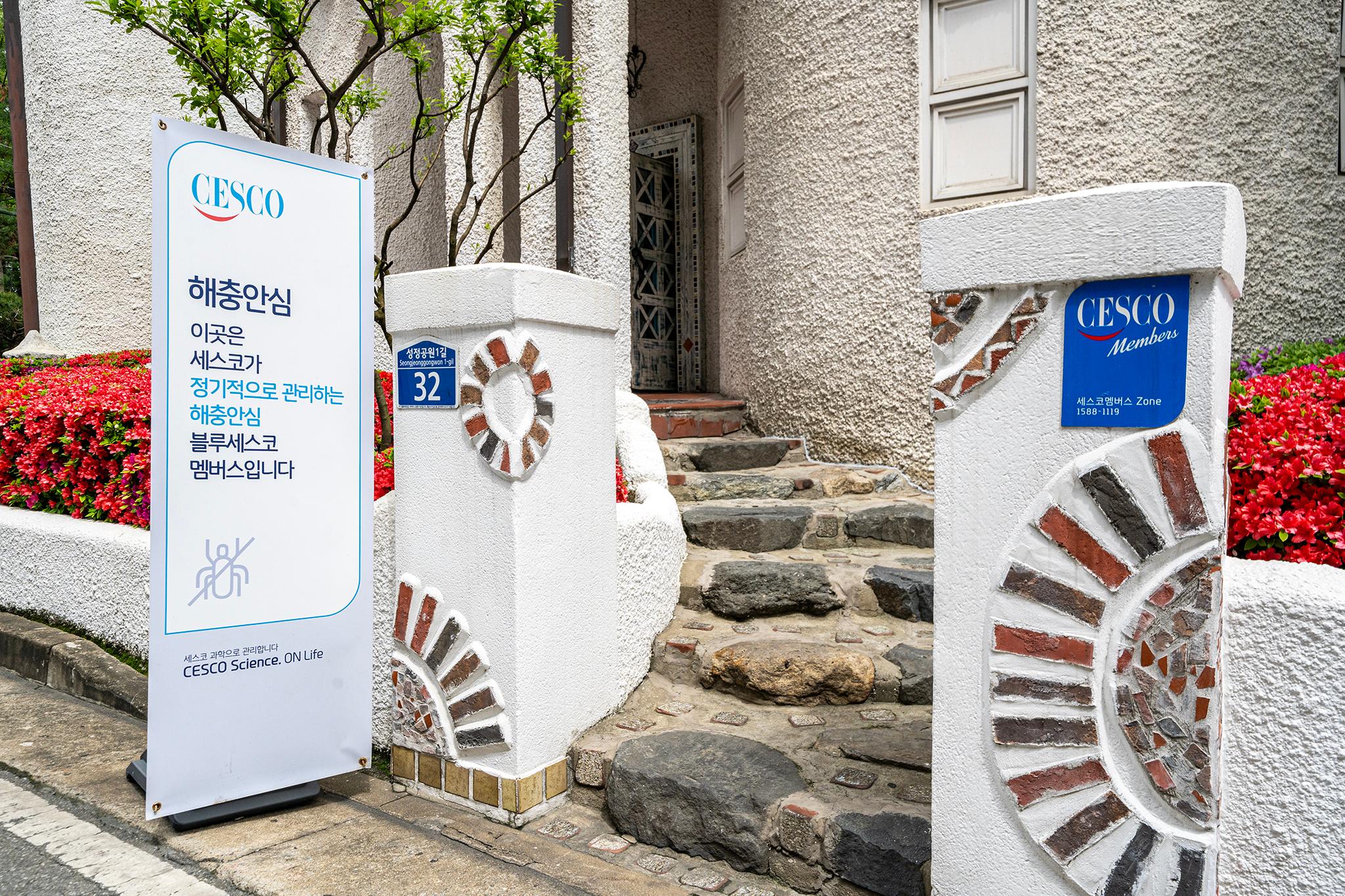 대표 사진