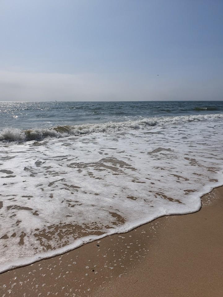 대표 사진